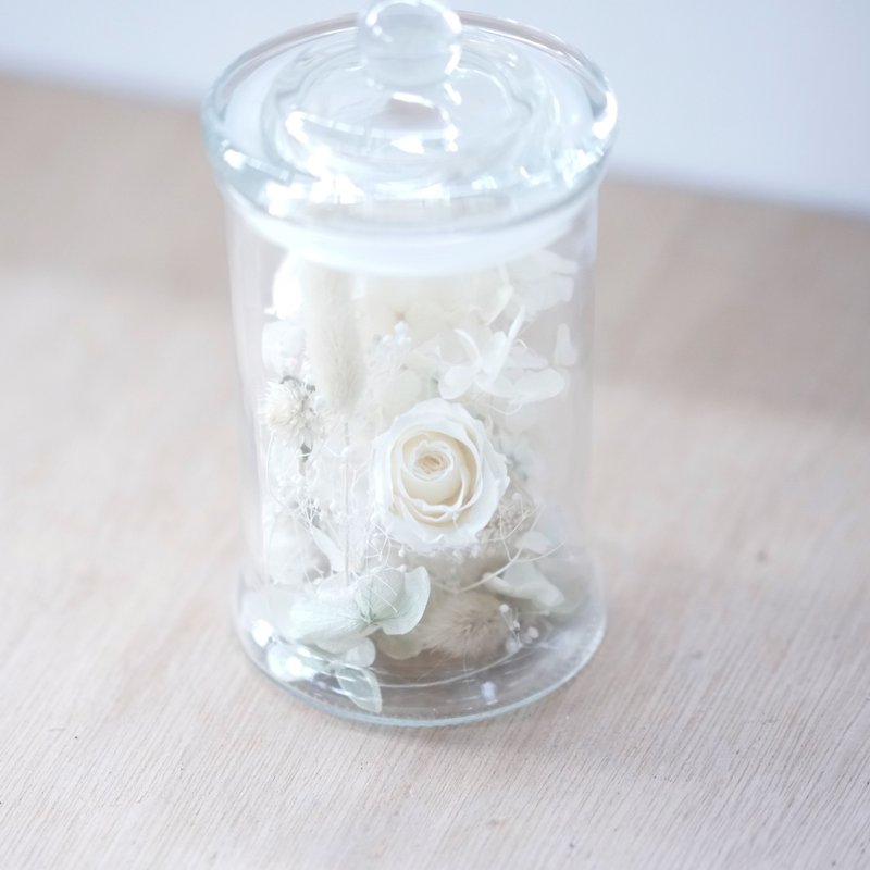 PlantSense bottle White Day ~ Flowers Preserved flowers immortalized Rose Hydrangea bottles - Plants - Plants & Flowers White