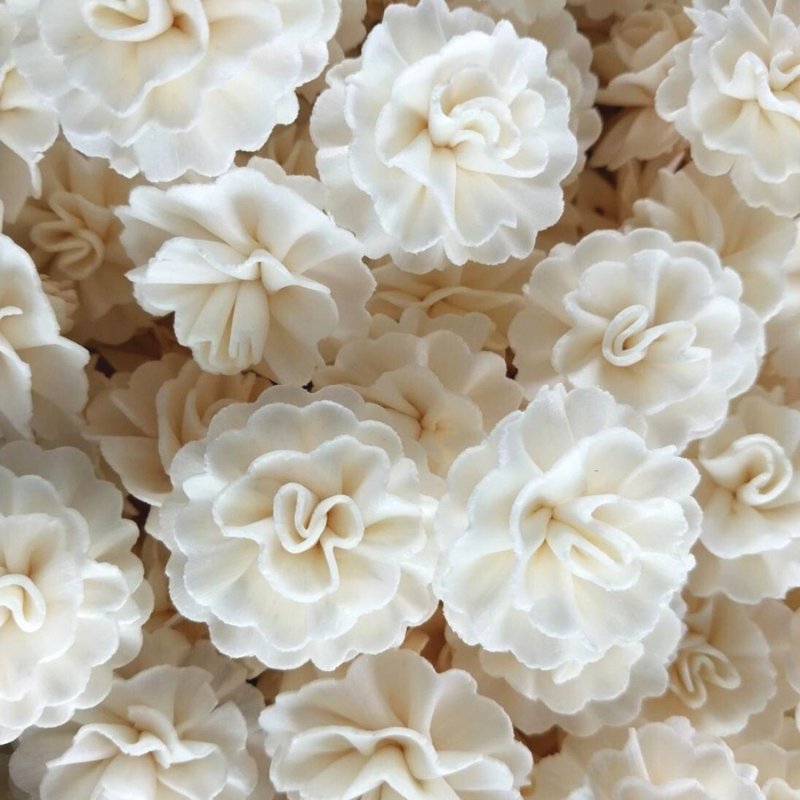 Carnation Sola Flowers 3 cm. 50 flowers - 花藝/盆栽/植栽 - 植物．花 