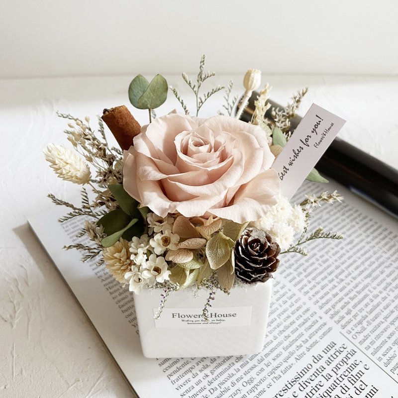 Preserved Flower + Dried Flower|Peach Milk Tea|Dream Rose|Mini Potted Flower|Universal Congratulations - Dried Flowers & Bouquets - Plants & Flowers Khaki