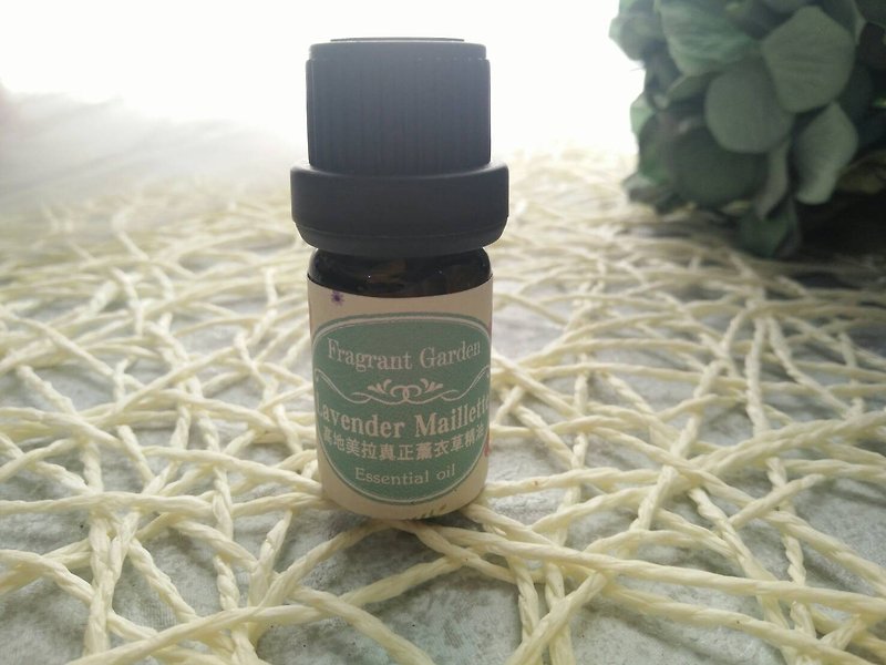 高地美拉真正薰衣草精油   Lavender Maillette essential oil - 香氛/精油/擴香 - 精油 透明