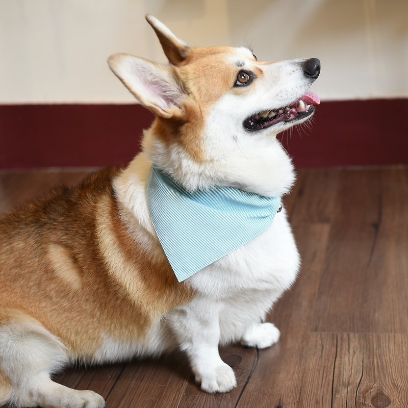 [ZAZAZOO] L-code dog collar accessories - fresh green - without collar - ปลอกคอ - เส้นใยสังเคราะห์ 
