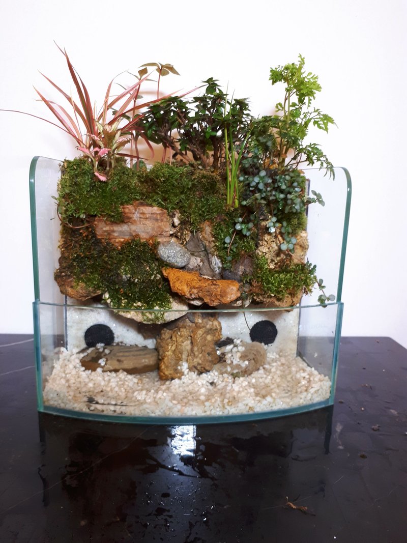 Kaiyun ecological landscaping fish tank AB-30 bay type home Fengshui is the most dazzling decoration - Plants - Glass 