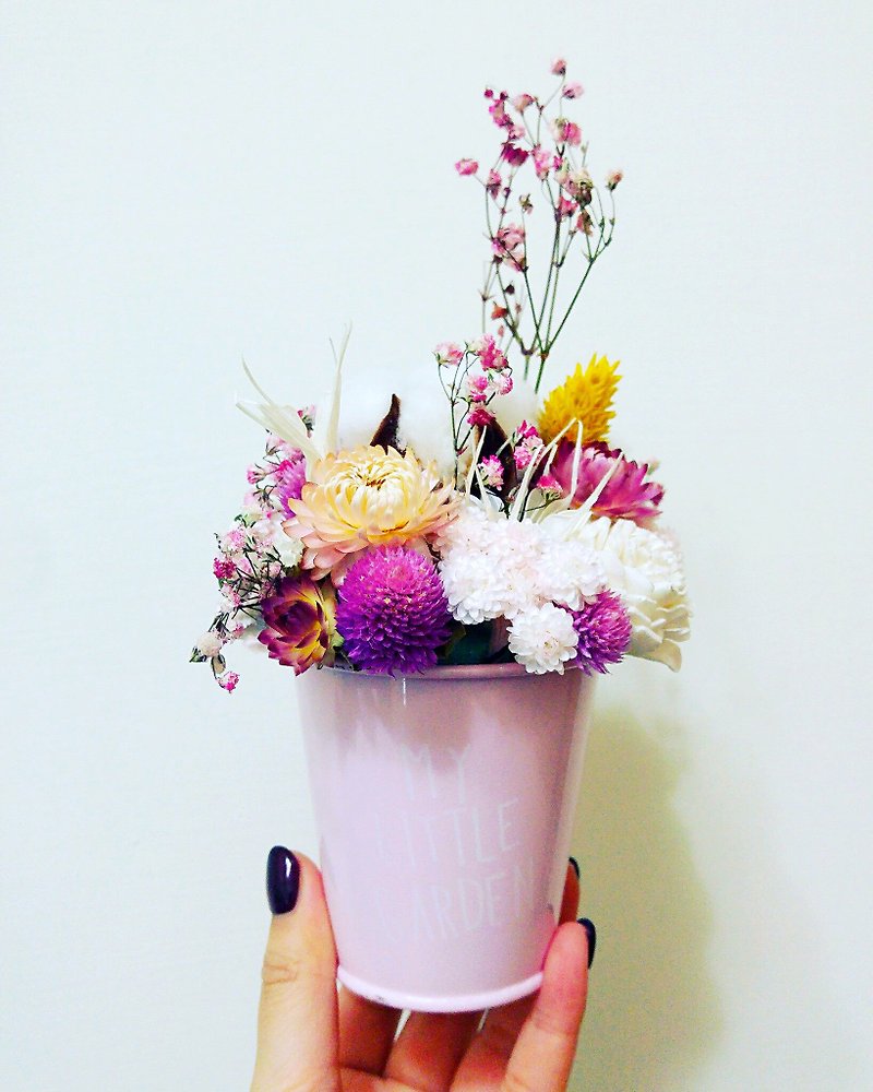 AMILUS ❤ Christmas gifts / girls heart mini dry mini flower pots / wedding small objects / Christmas - Plants - Plants & Flowers Pink