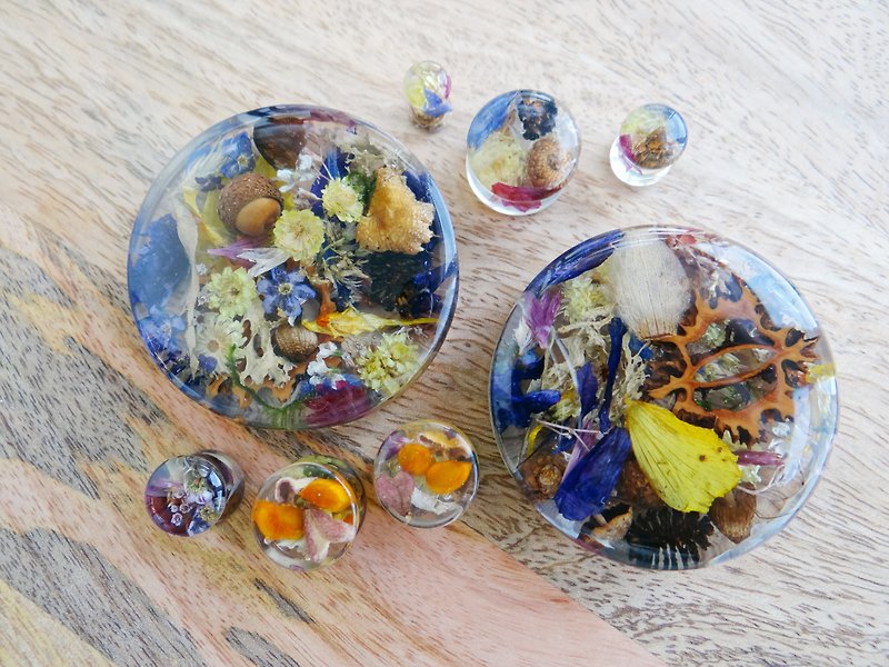 Dry flower ear gauges Forest acorn Plug earrings Resin jewelry Gift for woman - ต่างหู - พืช/ดอกไม้ หลากหลายสี