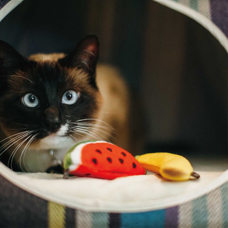 貓玩具 貓草 狂野貓咪 逗貓 熱帶水果 - 貓/狗玩具 - 環保材質 