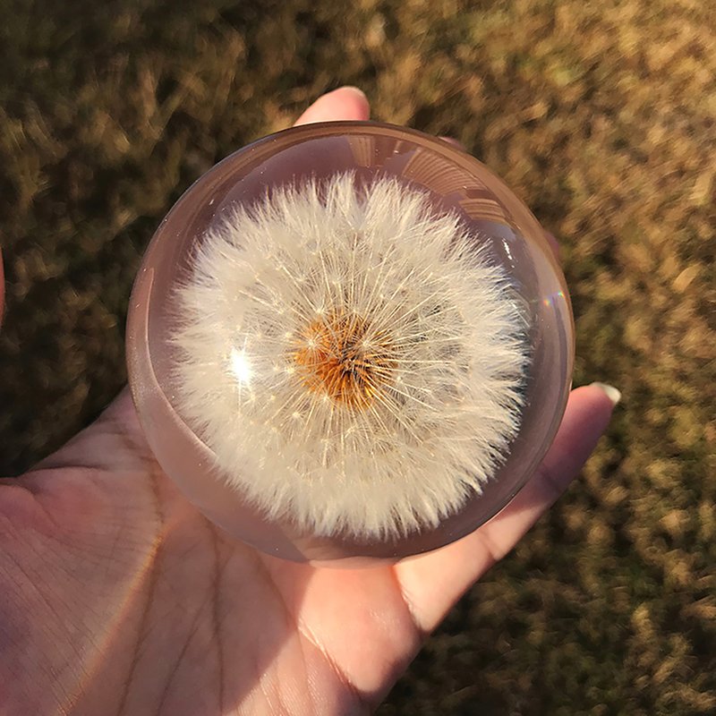 Dandelion gift 8cm resin ball / gift box with lamp holder / healing gift - Items for Display - Resin 