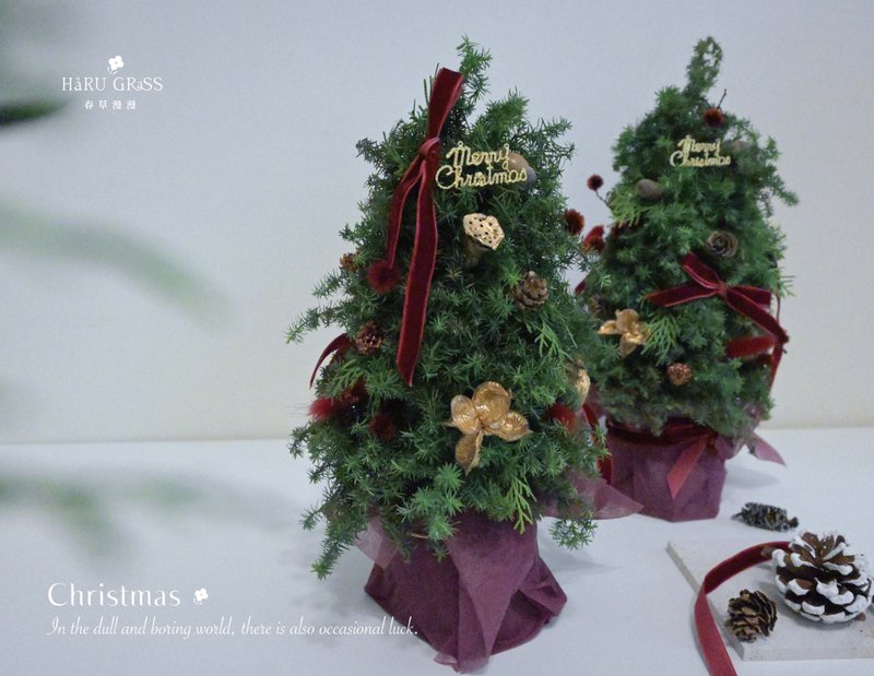 DIY/Handmade Christmas Tree Flower Arrangement Experience Course Tainan Handmade Tour - จัดดอกไม้/ต้นไม้ - พืช/ดอกไม้ 