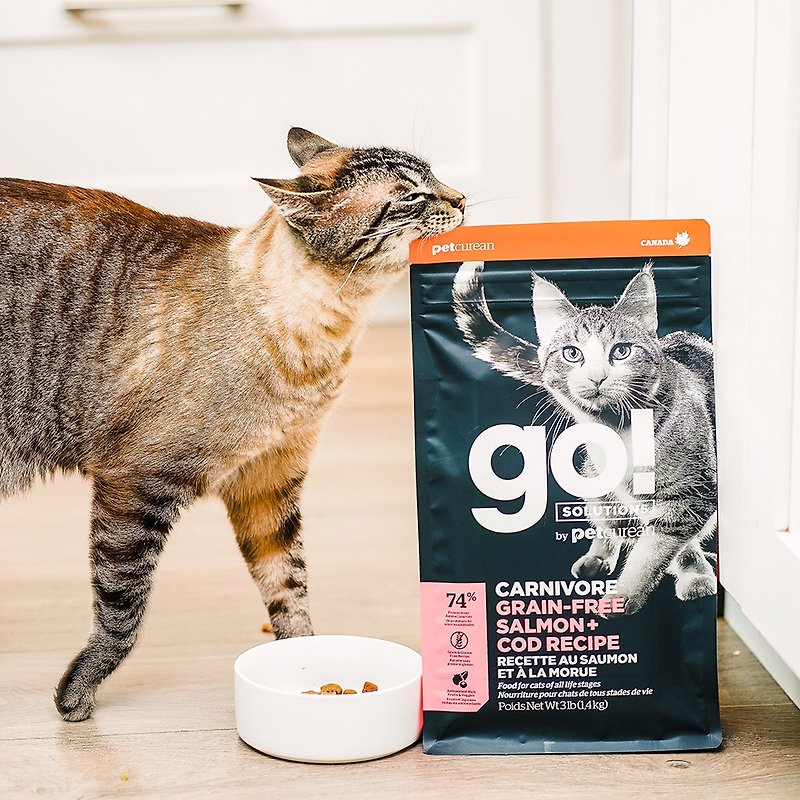 [Cat Staple Food] go! Ocean Salmon Whole Cat High Meat Series Grain-Free Cat Feed Bright Hair - Dry/Canned/Fresh Food - Fresh Ingredients 