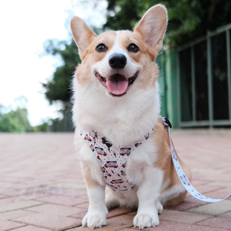 Hong Kong special ice cream car chest strap - Collars & Leashes - Other Man-Made Fibers Multicolor