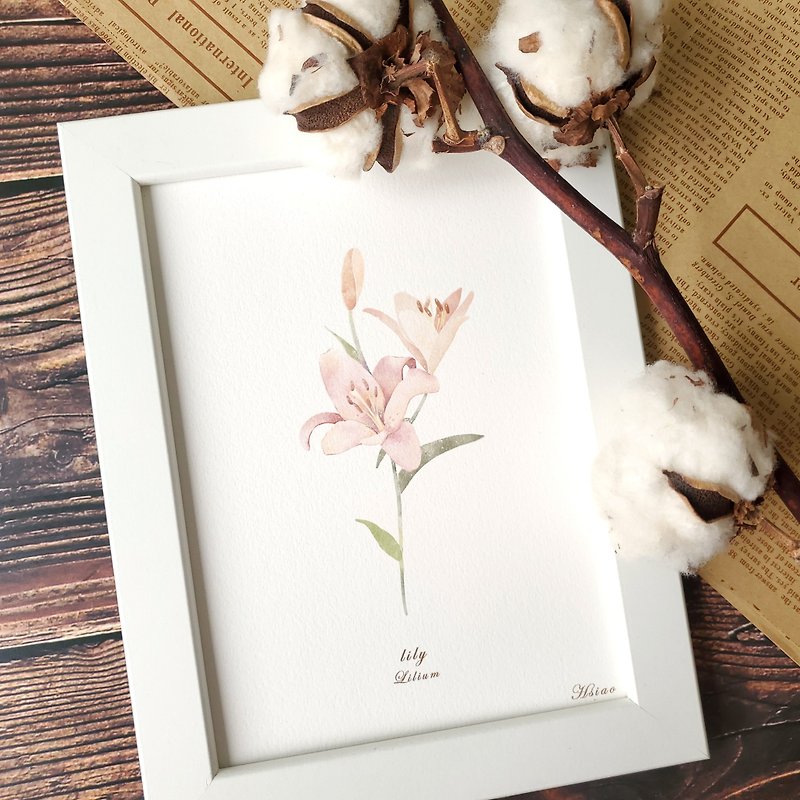 Lilies - reproduction painting / poster / with packaging / watercolor / hand-painted / illustration - โปสเตอร์ - กระดาษ สึชมพู