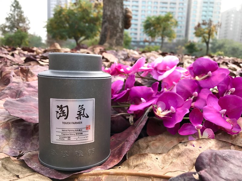 Hand-picked fragrant oolong 75g sweet and elegant aroma - ชา - อาหารสด สีทอง