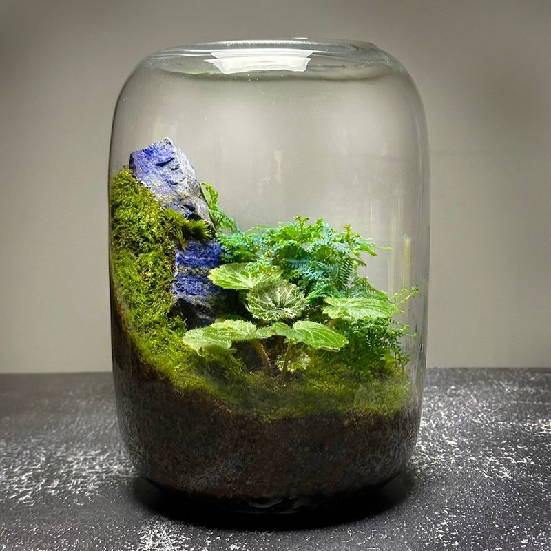 礦石風水生態缸 - 彩墨山水 / 青金石 - 盆栽/植栽 - 植物．花 