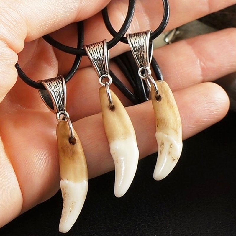 Real Wolf Tooth Necklace Beige Wolf Tusk Teeth Fang Pendant Necklace Jewelry - 項鍊 - 其他材質 咖啡色