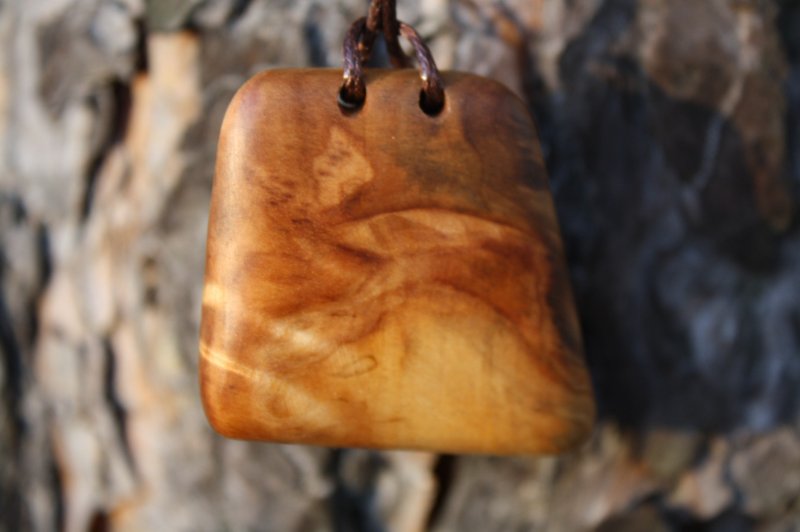 Pendant Wood Unique Natural Texture Fantasy Nature Birch Cap Talisman Eco - Necklaces - Wood 