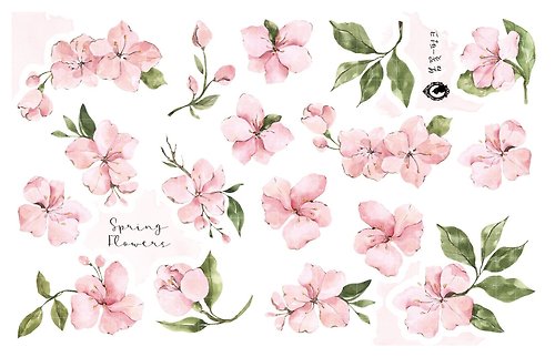 honne market Spring Flower - Pink - Paper / White Printed PET (blue lion) (suyeon)