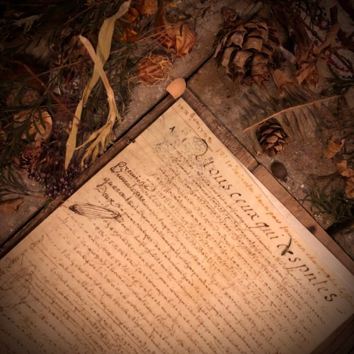 【アンティーク】羊皮紙 全8ページ1628年フランス 500x0.jpg