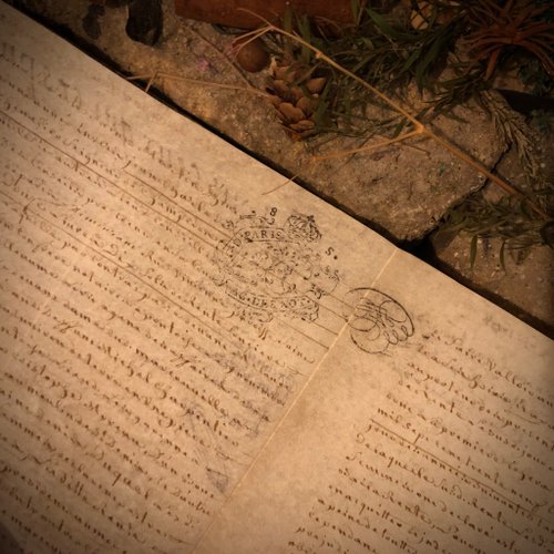【アンティーク】羊皮紙 全8ページ1628年フランス 1738 年、ルイ 15 世時代のフランスのアンティーク羊皮紙手書き