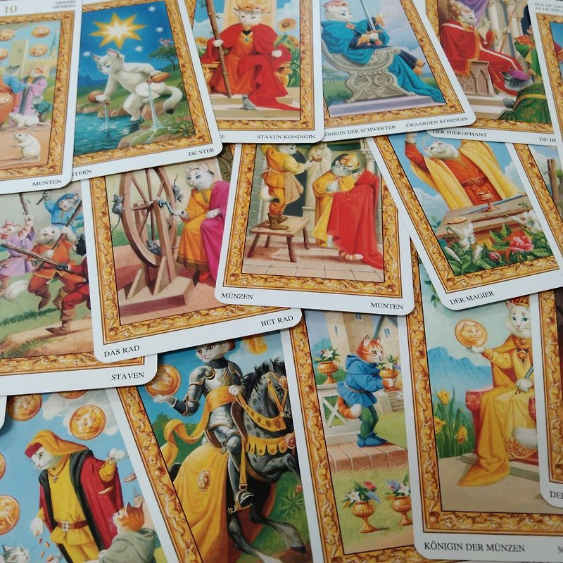 (Small class size can be taught by one person) Weite White Cat Tarot Card Divination Class (no limit to the number of teachers attending the class) - Photography/Spirituality/Lectures - Other Materials 