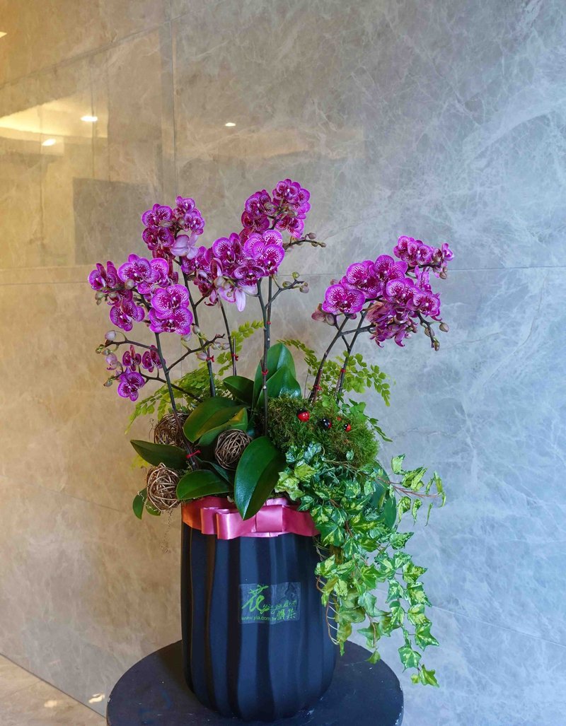 嫣紅雅緻 - 植物/盆栽/盆景 - 植物．花 多色