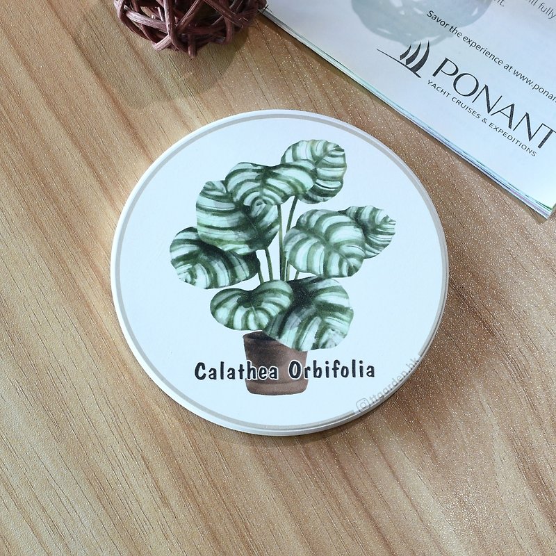 Calathea Orbifolia - ttgarden original ceramic absorbent coaster - ที่รองแก้ว - ดินเผา 