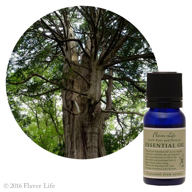 And essential oil [Hinoki] Chamaecyparis obtusa (Hinoki) - Fragrances - Essential Oils Green