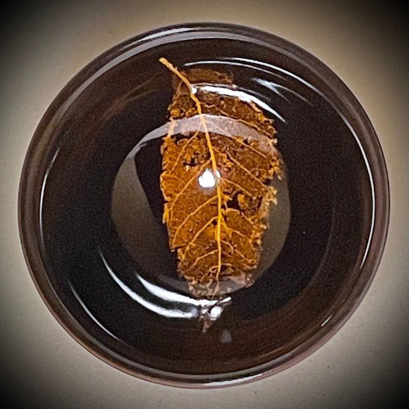 真實木葉天目茶盏-欒樹葉 - 茶壺/茶杯/茶具 - 其他材質 