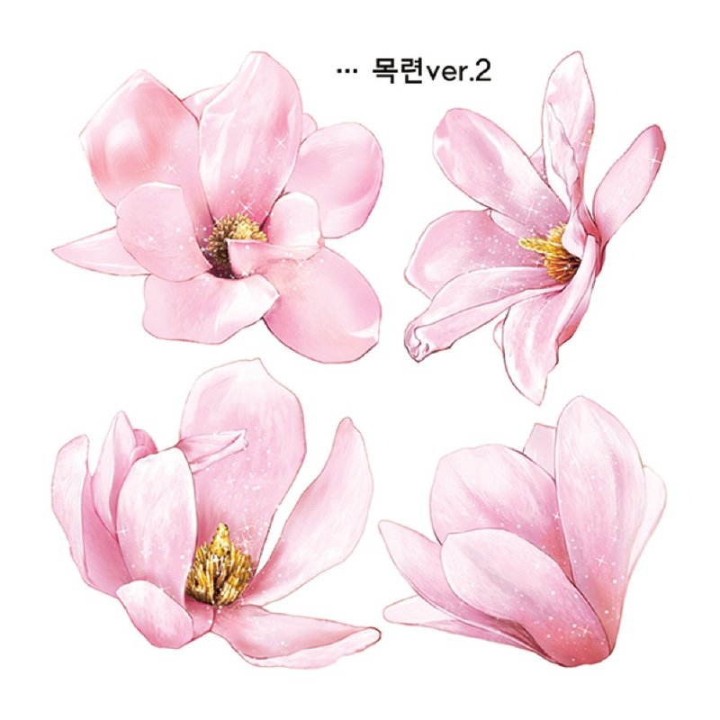 Magnolia 2 types (blackraccoon) Vintage collage design paper sticker - 貼紙 - 紙 粉紅色