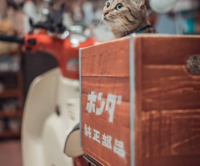 明治？の木箱　破損有り 1960年代のソーダ木箱の純正部品を再刻印 - ショップ BAKKU