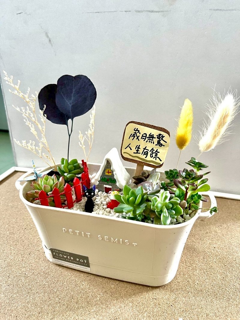 多肉組盆 多肉植物 吉卜力 魔女宅急便 吉吉 ジジ 黑貓 植物盆栽 - 盆栽/植栽 - 植物．花 綠色