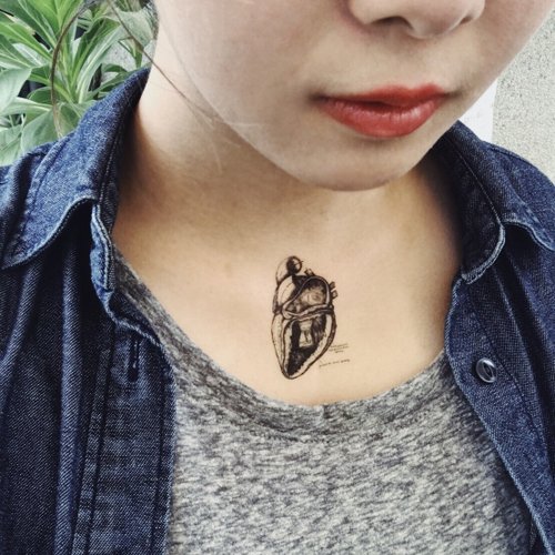 My dear Tattoo | 人體器官 | 2入紋身貼紙 花草系微刺青 牙齒 人腦 眼睛 心臟