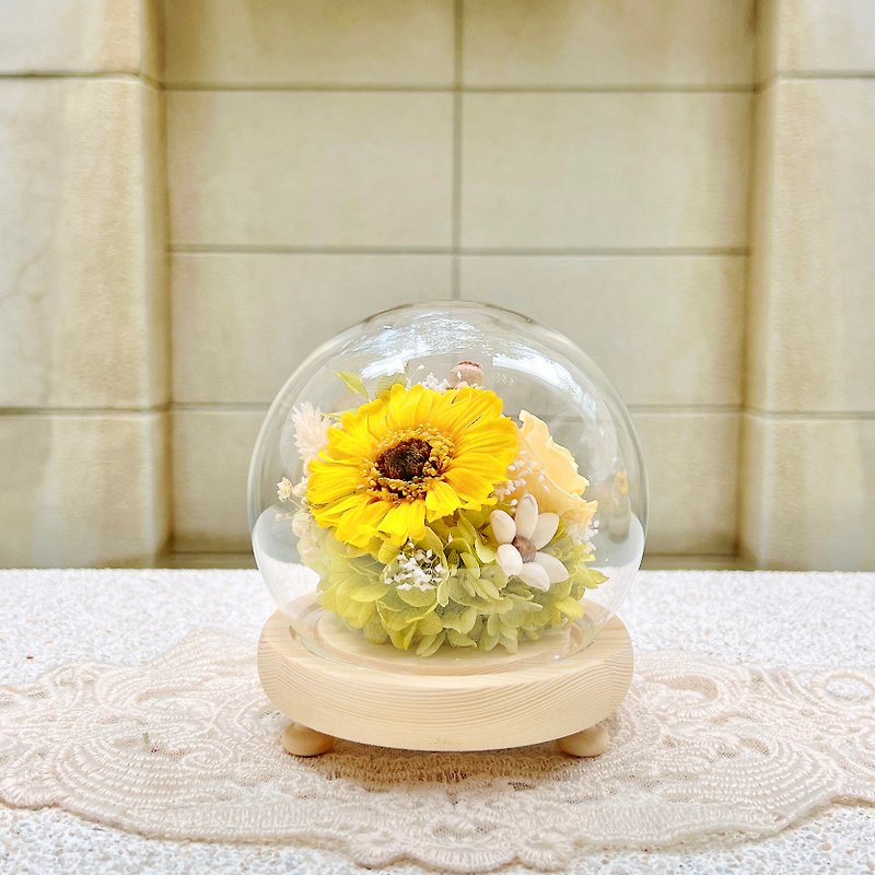 Preserved Flower/Sunflower/Night Light/Glass Cup/Glass Shade - Dried Flowers & Bouquets - Plants & Flowers Yellow