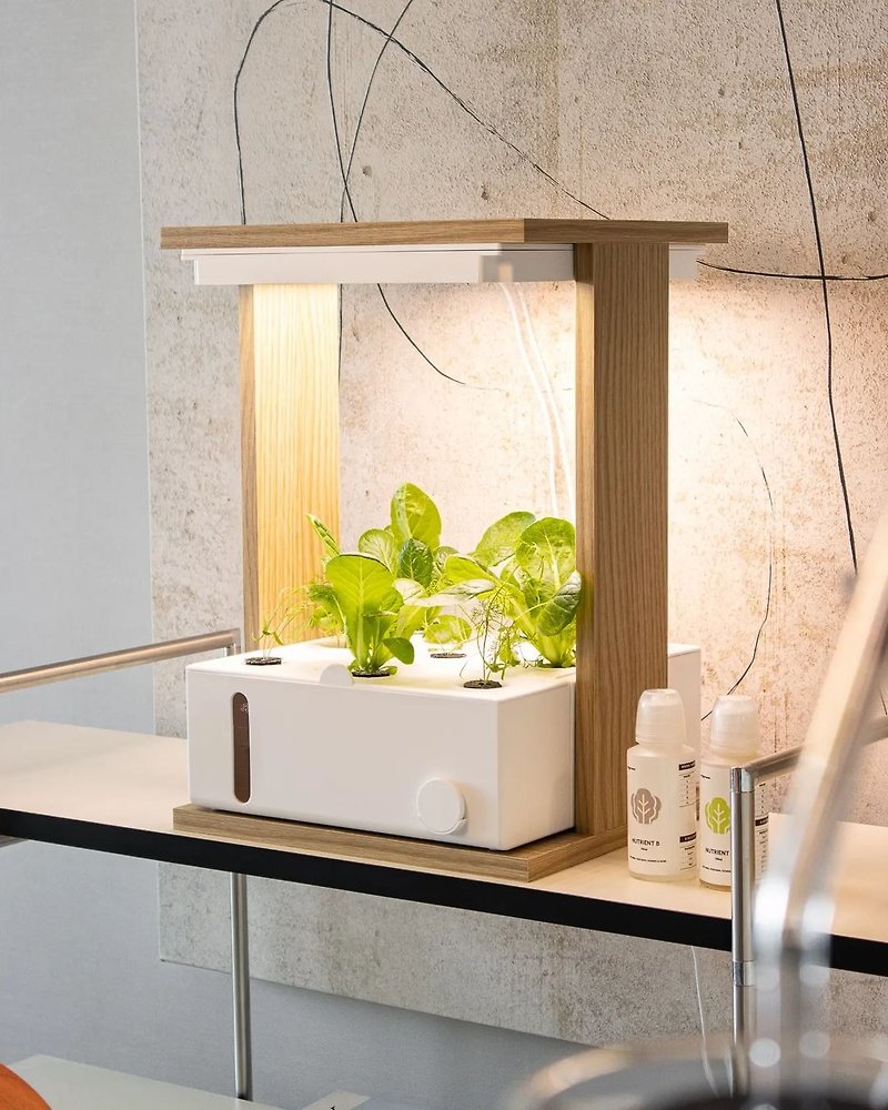 Verda Gardemn Modular 45W  Full Spectrum Automatic LED Grow Light Plant Light - ตกแต่งต้นไม้ - พลาสติก ขาว