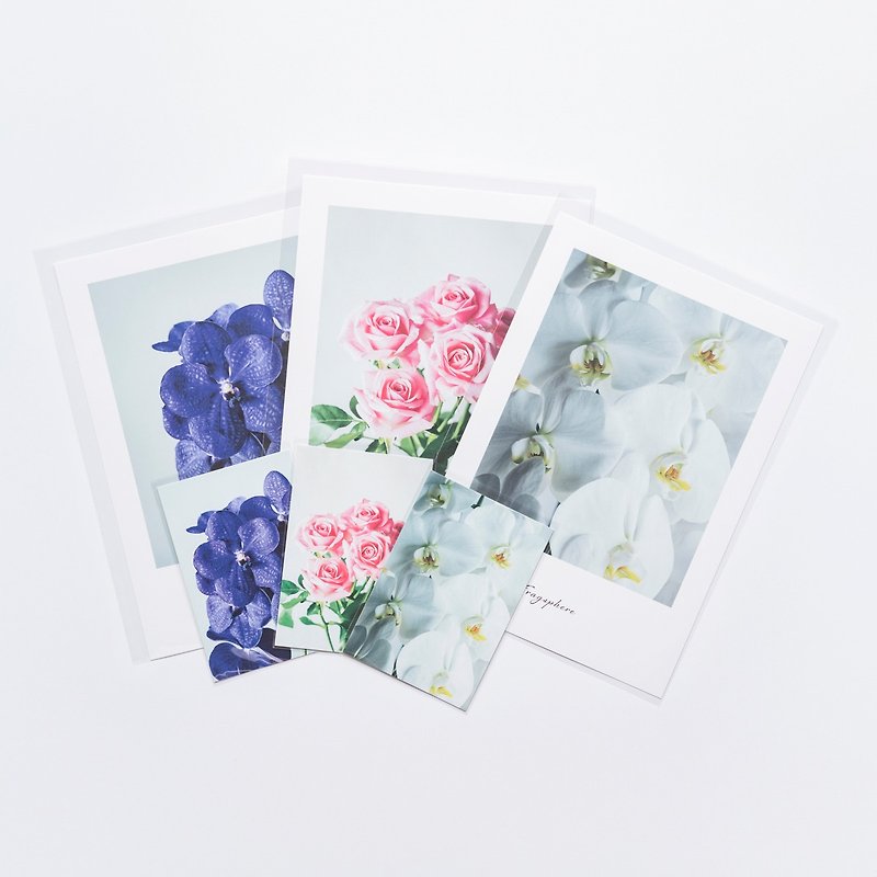 Flower lover Poster Fragsphere Edition 3-piece Flower Set Phalaenopsis/Rose/Vanda A4 Size FEW-S001A - โปสเตอร์ - กระดาษ 