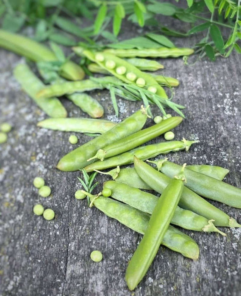 Polymer clay peas. TUTORIAL. Mini food. Fake vegetables. jewelry diy. pea pod. - 線上教學/教學影片 - 其他材質 
