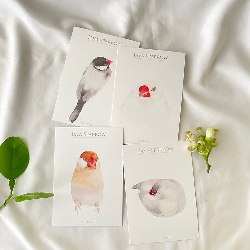 Birds Postcard Group 27 文鳥 2.0 - カード・はがき - 紙 