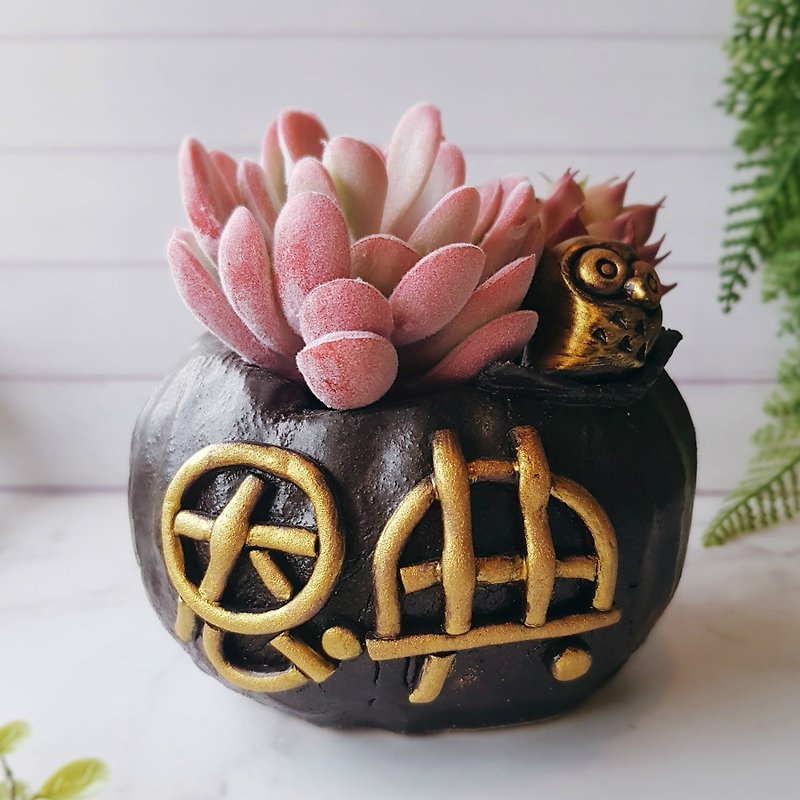 Grace Eagle│Owl Flower Hand-made Pottery Succulent Plant Gospel - ตกแต่งต้นไม้ - ดินเผา สีดำ