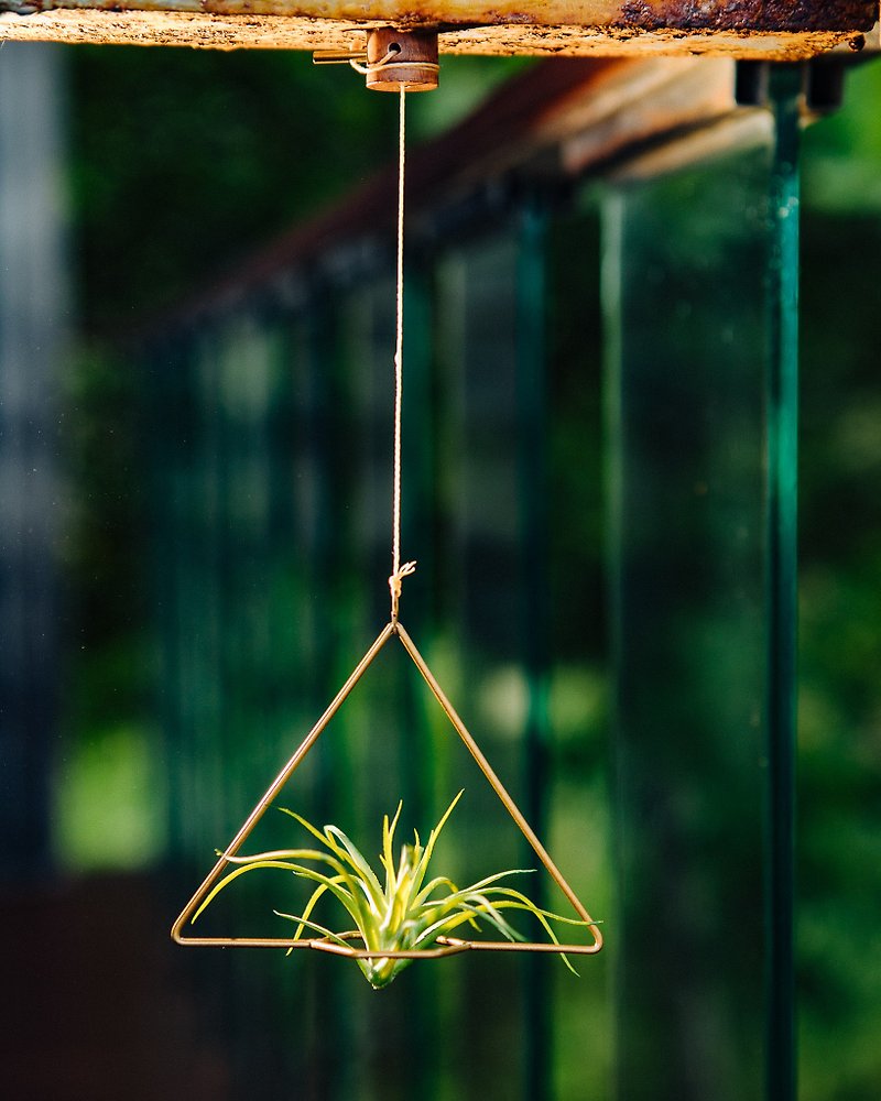 其他金屬 花瓶/花器 咖啡色 - FREEDOM 植由自在 可調式磁吸植物吊架-三角