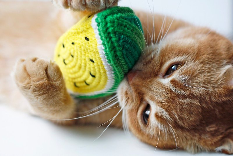Xiaoyu Watermelon Handmade Cat Straw Bag Catnip Cat Toys Handwoven - Pet Toys - Other Materials Yellow