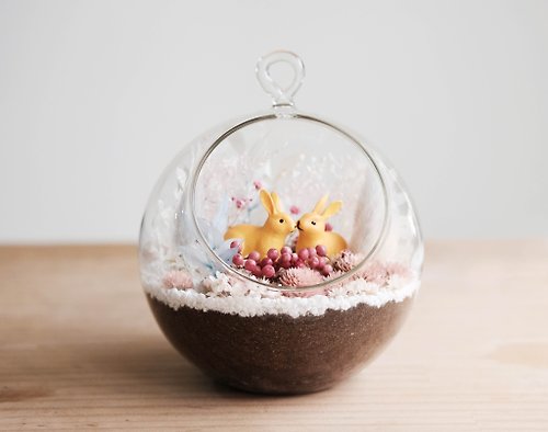 仰式漂浮 Daydream Crafts 戀愛花禮小行星-多肉盆栽 DIY材料包 生態瓶 兔年 情人節禮物