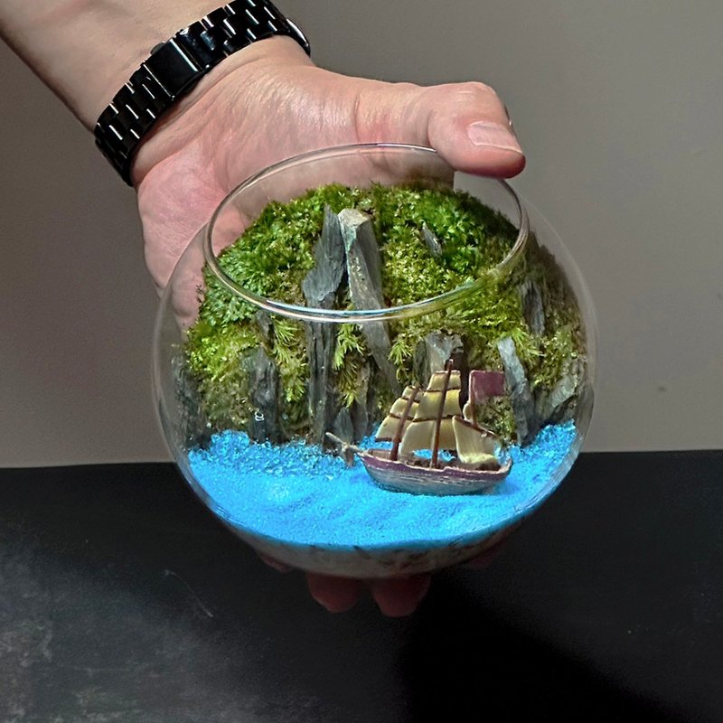 新品上市 蔚藍之途 / 主題性客製化造景生態盆 - 植栽/盆栽 - 植物．花 
