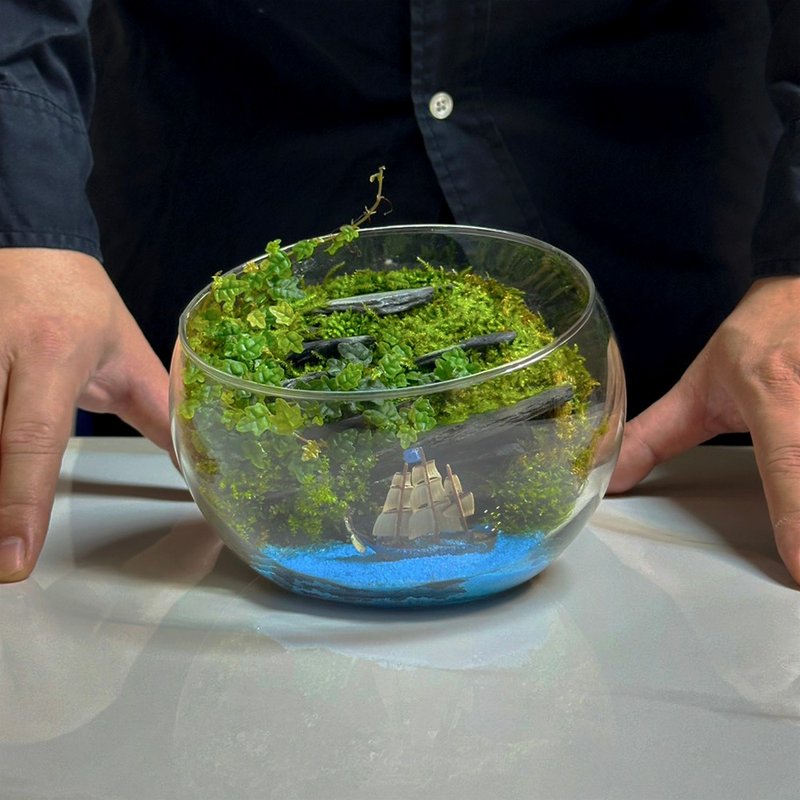 蔚藍之途 / 主題性客製化造景生態盆 - 盆栽/植栽 - 植物．花 
