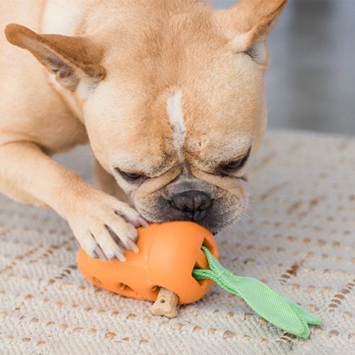 Carrot Stuffer Treat-Dispensing Interactive Dog Toy - Shop Outward