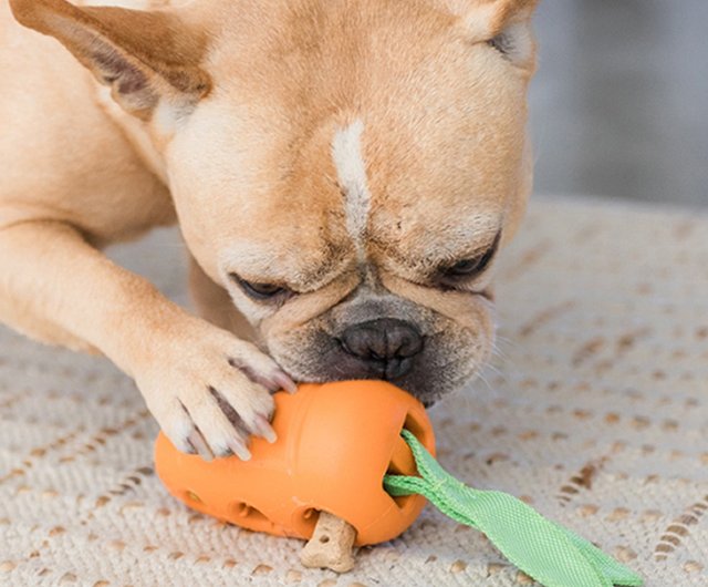 do carrots keep dogs teeth clean