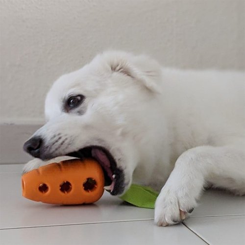 Carrot Stuffer Treat-Dispensing Interactive Dog Toy - Shop Outward