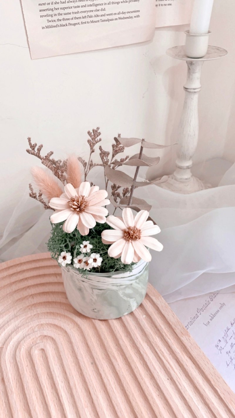 Summer Cotton Potted Flower Dry Flower Wedding Small Things Valentine's Day Promotion Potted Flower Graduation Gift Gift - ตกแต่งต้นไม้ - พืช/ดอกไม้ สีเขียว