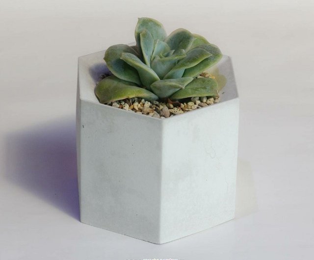 三管　花器　六角　紙箱入 三管 花器 六角 紙箱入