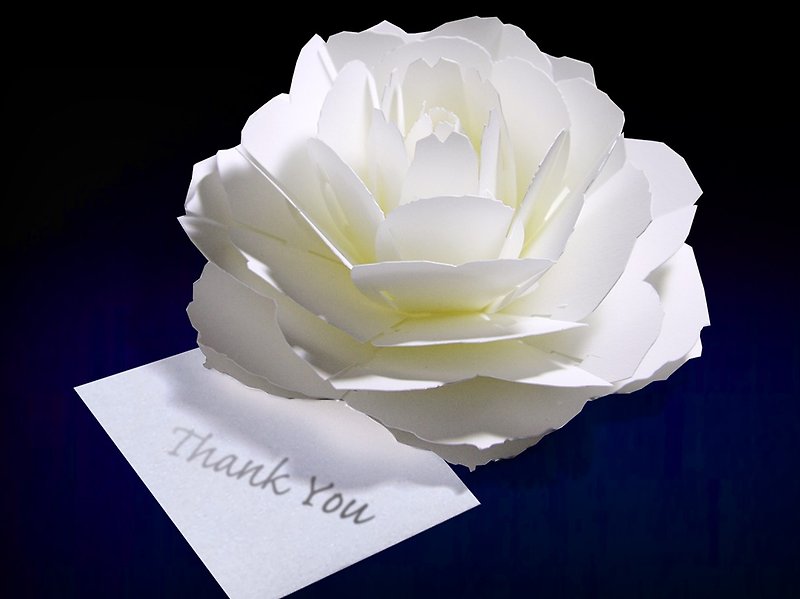 Blooming flower pop-up message card　white-rose - Cards & Postcards - Paper White