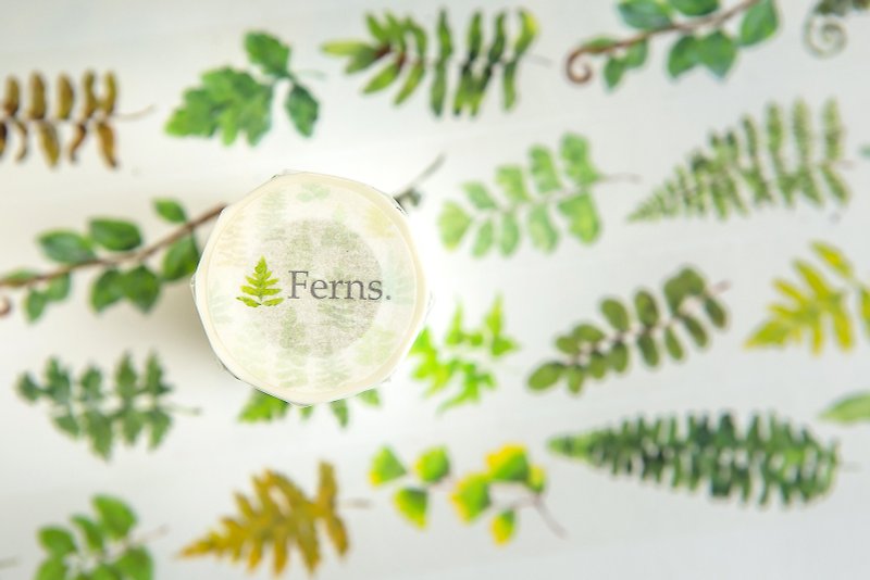 Ferns - OURS Original Washi Masking Tape - มาสกิ้งเทป - กระดาษ สีเขียว