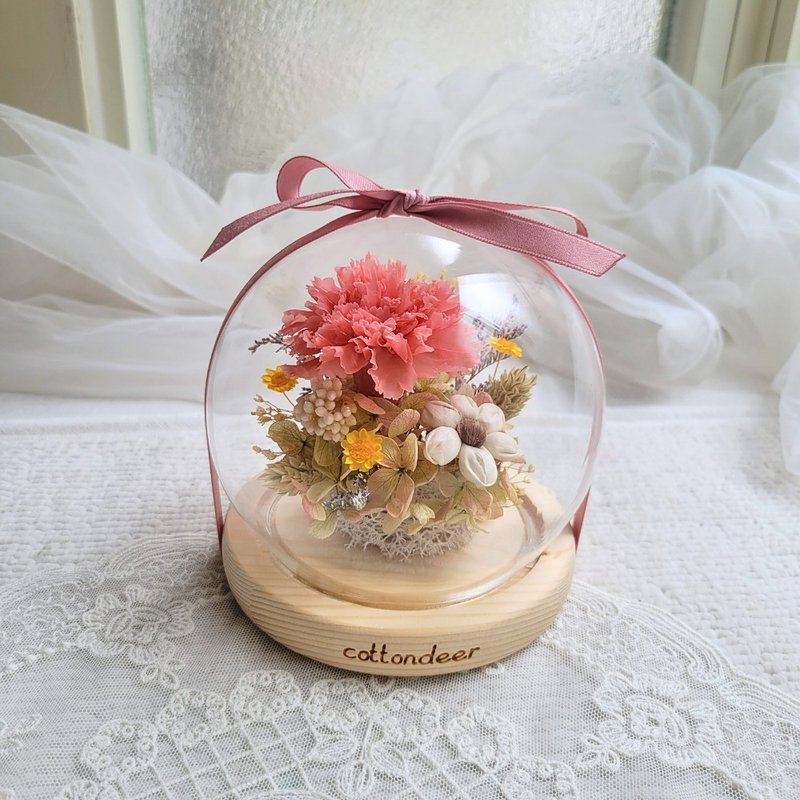 【現貨】永生康乃馨玻璃球罩盅。擺飾。附包裝。 - 乾燥花/永生花 - 植物．花 