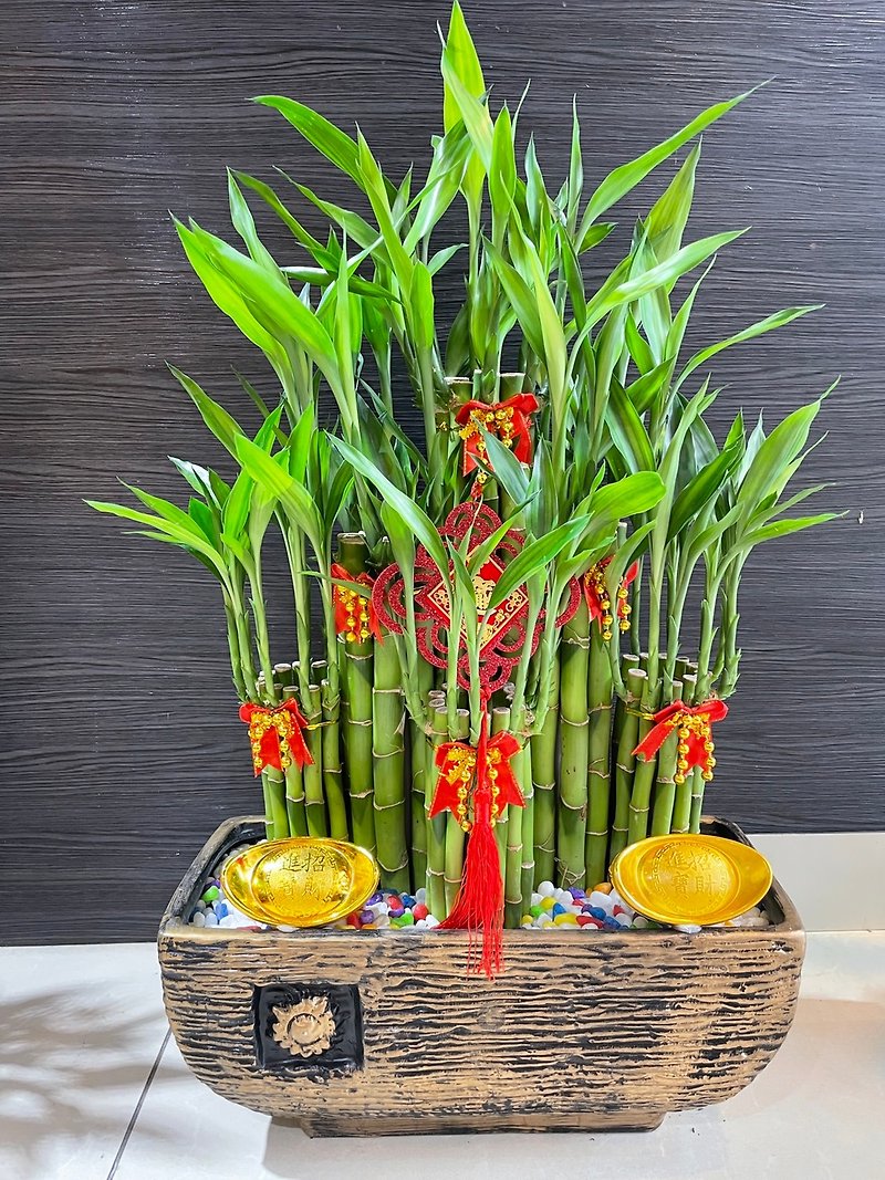 Desktop potted plant opening potted office potted plant into the new home ceremony good luck bamboo potted plant - ตกแต่งต้นไม้ - พืช/ดอกไม้ สีเขียว